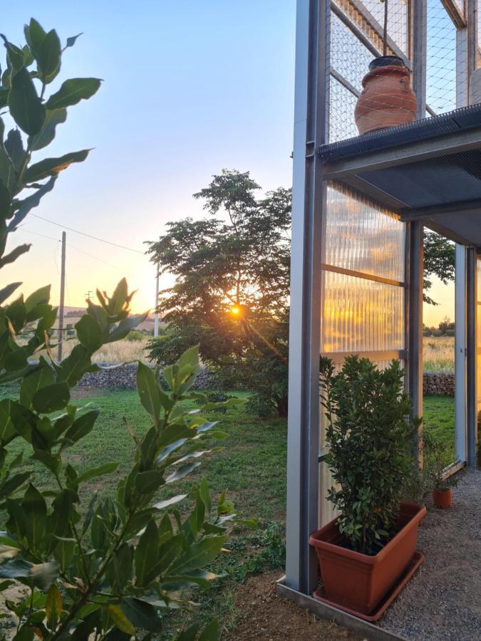 Villa Anonima Agricola Orbetello Exterior foto